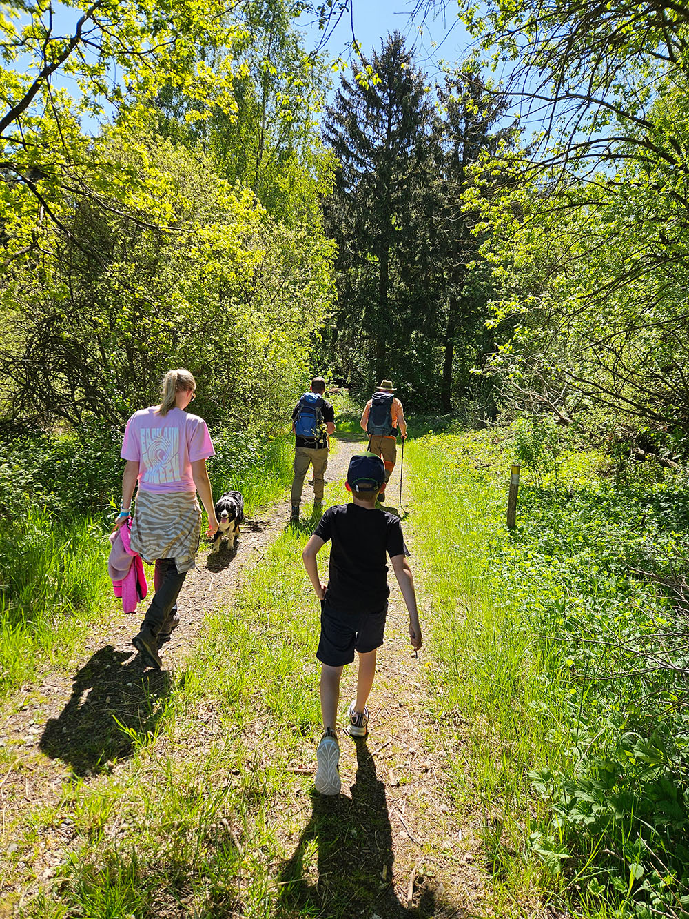 Eifelsteig Wanderweg