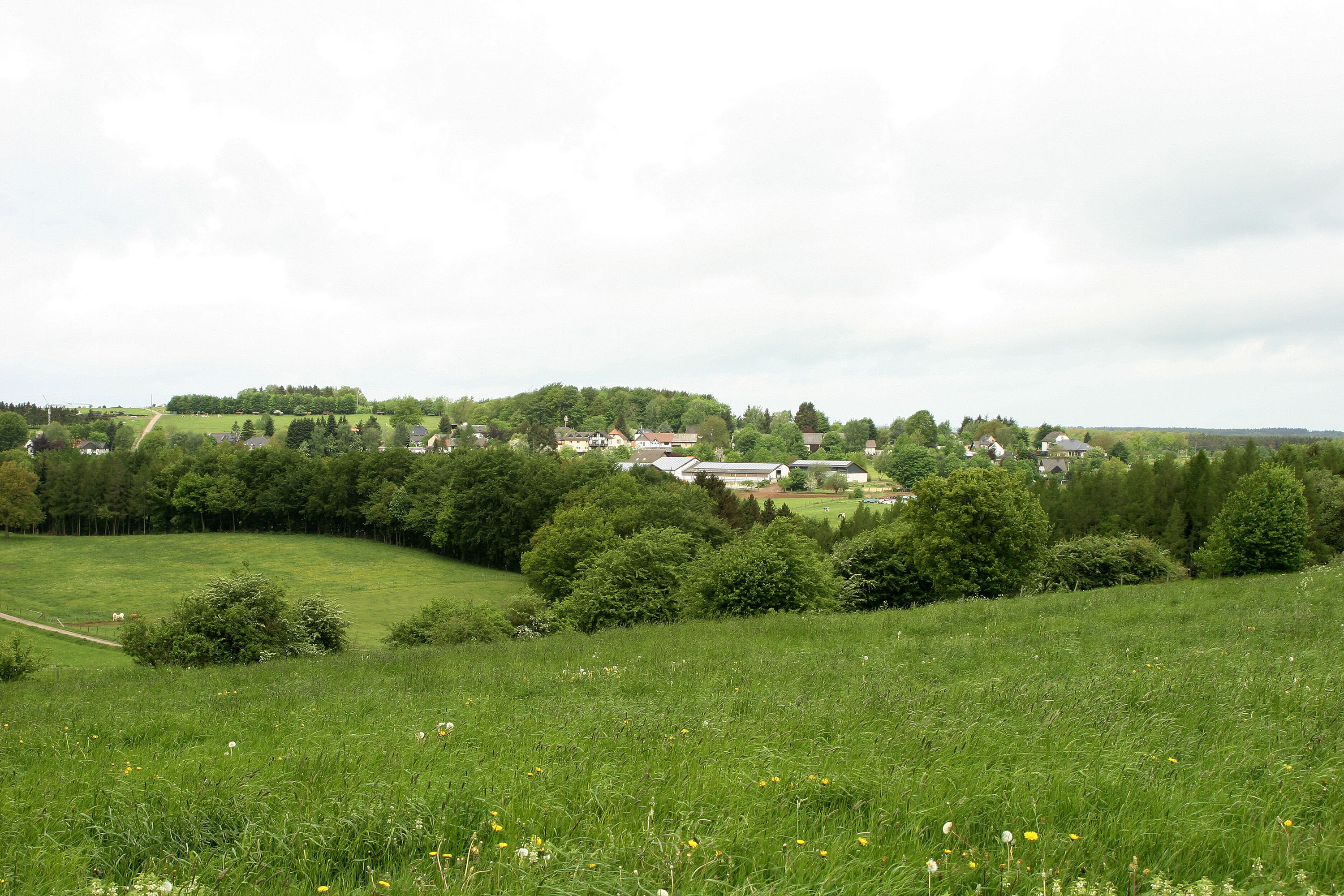 Eifel Landschaft Panorama